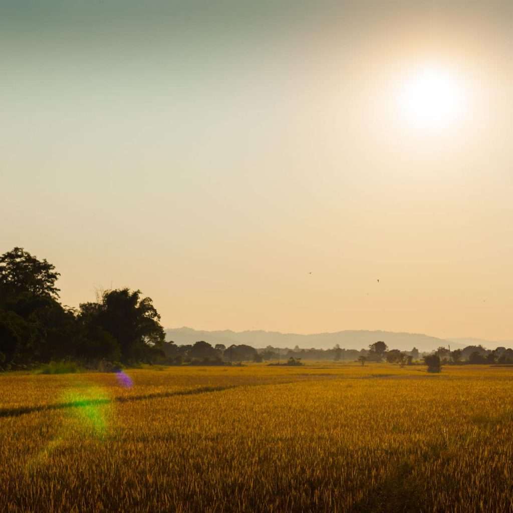 Chitwan National Park